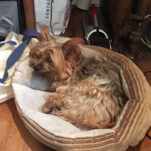 Meet your Posher, Andy